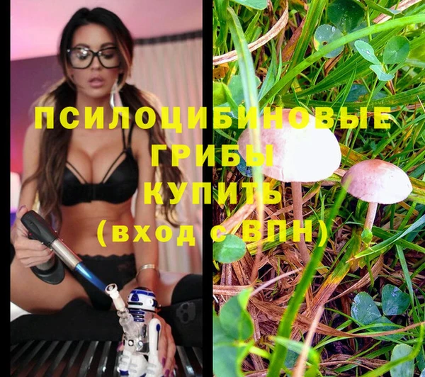 кристаллы Липки