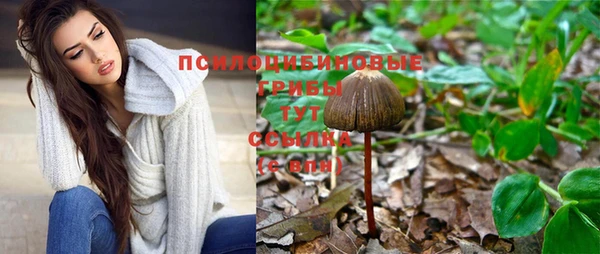 прущие грибы Лиски
