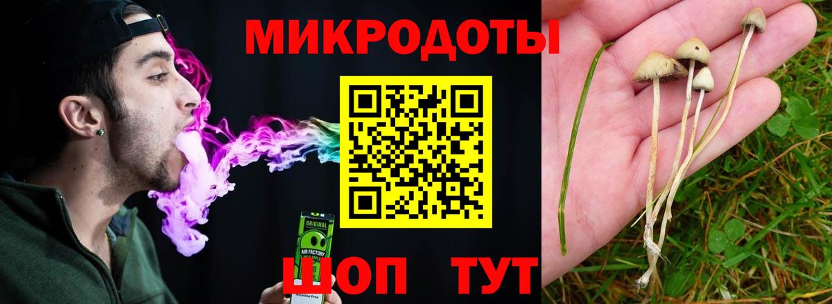 Галлюциногенные грибы Psilocybe Сатка